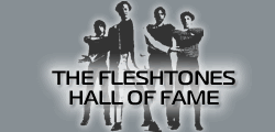 The Fleshtones Hall of Fame